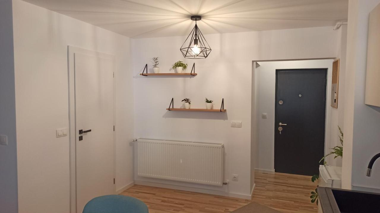 Chrysanthemum Appartement Sighişoara Buitenkant foto