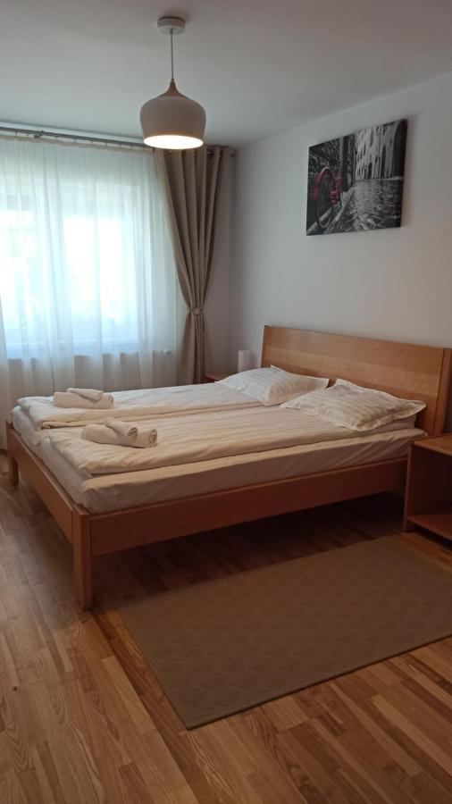 Chrysanthemum Appartement Sighişoara Buitenkant foto