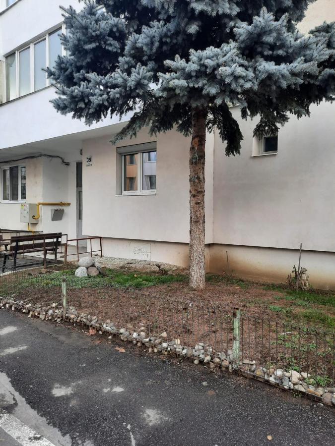Chrysanthemum Appartement Sighişoara Buitenkant foto